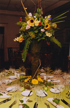 Passman Decor 4 Passman Decor 4