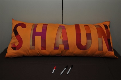 Yudin Sign in pillow