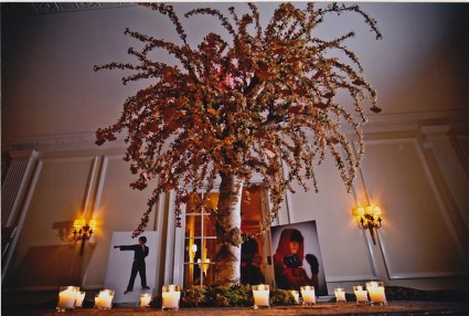Robin placecard tree