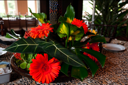 Curhan decor Curhan decor