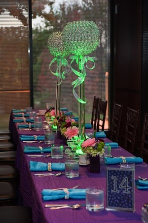 Gnat Spotlight Decor Gnat Spotlight Decor