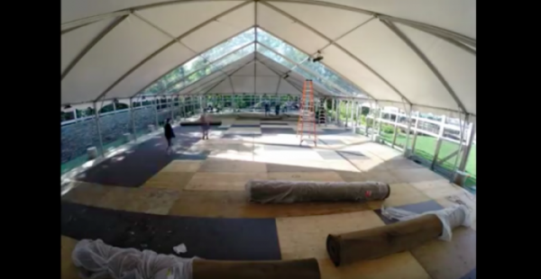 Backyard Bat Mitzvah