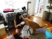 Bat Mitzvah Project: Rescuing Shelter Cats