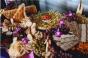 Mitzvah Market - Bar/Bat Mitzvah Planning Resource