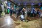 Mitzvah Market - Bar/Bat Mitzvah Planning Resource