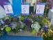 Mitzvah Market - Bar/Bat Mitzvah Planning Resource