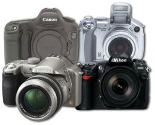 Zap Photographer Feedback