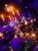 Mitzvah Market - Bar/Bat Mitzvah Planning Resource