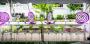 Mitzvah Market - Bar/Bat Mitzvah Planning Resource