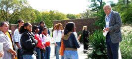 Mitzvah Project Idea: A Walk To Remember