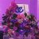 Mitzvah Market - Bar/Bat Mitzvah Planning Resource