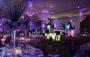 Mitzvah Market - Bar/Bat Mitzvah Planning Resource