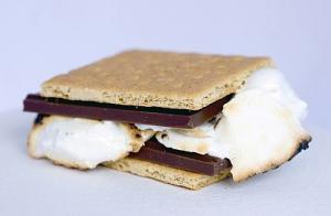 Mitzvah Idea: We Want More S’mores!