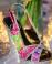 Mitzvah Market - Bar/Bat Mitzvah Planning Resource