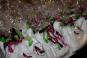 Mitzvah Market - Bar/Bat Mitzvah Planning Resource