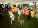 Mitzvah Market - Bar/Bat Mitzvah Planning Resource