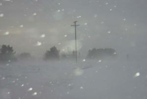 Bari’s Bat Mitzvah Blizzard