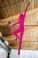 Mitzvah Market - Bar/Bat Mitzvah Planning Resource