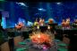 Mitzvah Market - Bar/Bat Mitzvah Planning Resource