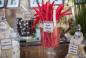 Mitzvah Market - Bar/Bat Mitzvah Planning Resource