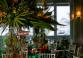 Mitzvah Market - Bar/Bat Mitzvah Planning Resource