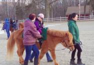 A Bat Mitzvah Project With Animal Attraction