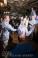 Mitzvah Market - Bar/Bat Mitzvah Planning Resource