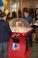 Mitzvah Market - Bar/Bat Mitzvah Planning Resource