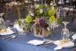 Mitzvah Market - Bar/Bat Mitzvah Planning Resource