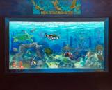 Mitzvah Market Magazine: Mitzvah Project, Gone Fishing