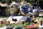 Mitzvah Market - Bar/Bat Mitzvah Planning Resource