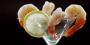 Mitzvah Market - Bar/Bat Mitzvah Planning Resource