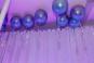 Mitzvah Market - Bar/Bat Mitzvah Planning Resource
