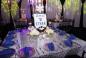 Mitzvah Market - Bar/Bat Mitzvah Planning Resource