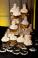 Mitzvah Market - Bar/Bat Mitzvah Planning Resource