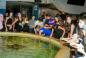 Mitzvah Market - Bar/Bat Mitzvah Planning Resource
