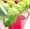 Mitzvah Market - Bar/Bat Mitzvah Planning Resource