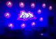 Mitzvah Market - Bar/Bat Mitzvah Planning Resource