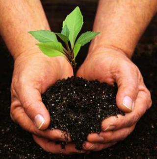 A Hands-On Mitzvah Project
