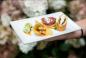 Mitzvah Market - Bar/Bat Mitzvah Planning Resource
