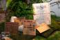 Mitzvah Market - Bar/Bat Mitzvah Planning Resource
