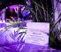 Mitzvah Market - Bar/Bat Mitzvah Planning Resource