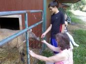 Mitzvah Project: Farm Animal Sanctuary