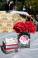 Mitzvah Market - Bar/Bat Mitzvah Planning Resource