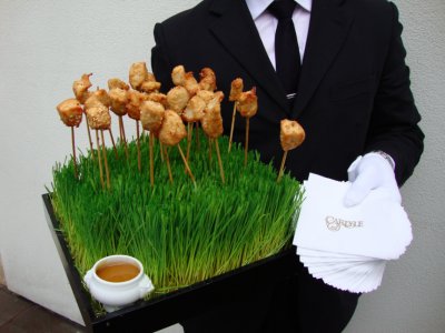 Mitzvah Market - Bar/Bat Mitzvah Planning Resource
