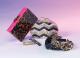 Mitzvah Market - Bar/Bat Mitzvah Planning Resource