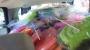 Mitzvah Market - Bar/Bat Mitzvah Planning Resource