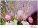 Mitzvah Market - Bar/Bat Mitzvah Planning Resource