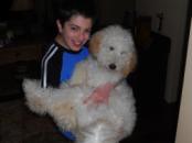 Mitzvah Project: Discs For Dogs