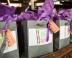 Mitzvah Market - Bar/Bat Mitzvah Planning Resource